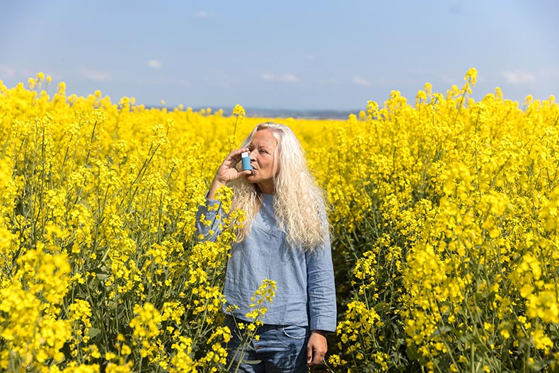 An elderly woman using an asthma metered dose inhaler in a blooming canola field.