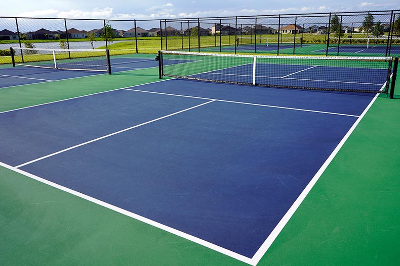 Multiple outdoor pickleball courts on a sunny day.