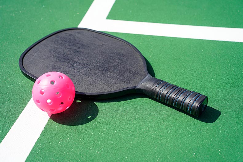 Pickleball paddle and pickle ball on court.