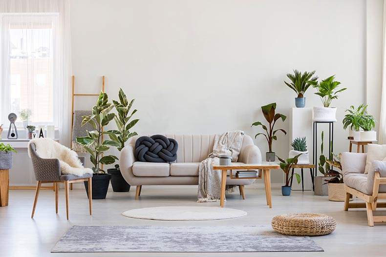 A bright living room interior of a 55+ condo.