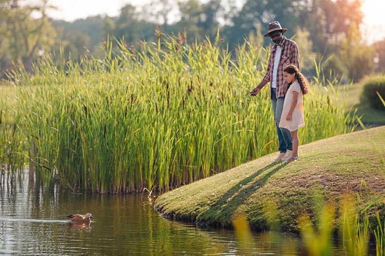 A granddaughter and her grandfather feeding a duck on a lake in a park.