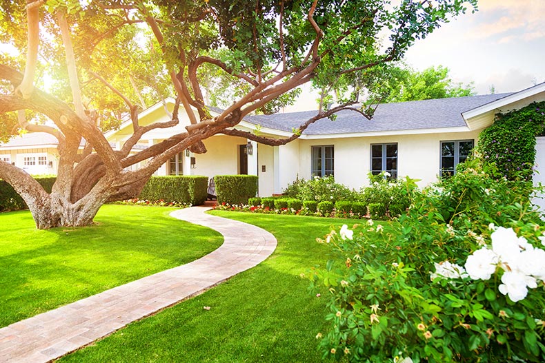 Sunlight on the exterior of a single-family home with attractive landscaping.