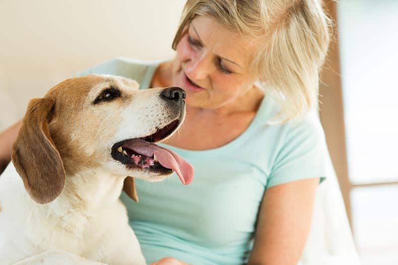 A 55+ woman with her dog at home relaxing.