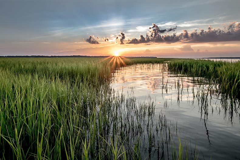 View of the South Carolina Low Country at sunset.