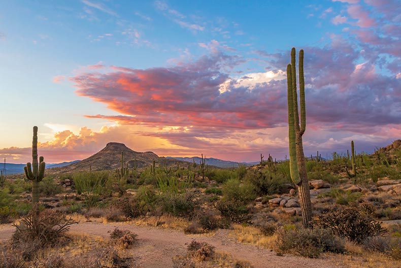 A desert hiking and biking trail In north Scottsdale at sunset.