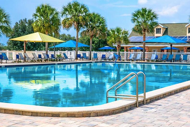 Lounge chairs beside an outdoor pool at On Top of the World in Ocala, Florida.