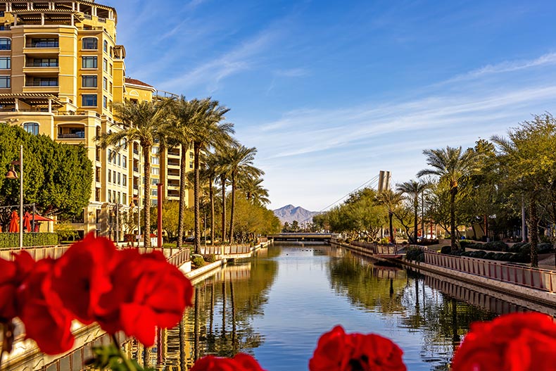 Flowers framing a view of the waterfront canal in Scottsdale, Arizona.