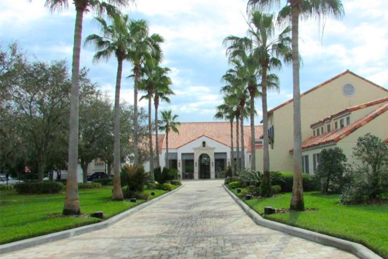 Palm trees lining a pathway on the grounds of Solivita in Kissimmee, Florida.