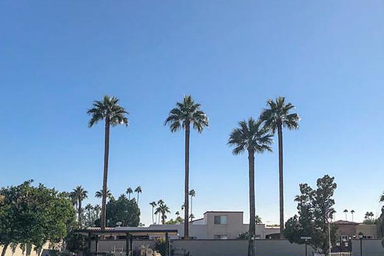 Palm trees beside a community building on the grounds of Villa Monterey in Scottsdale, Arizona.