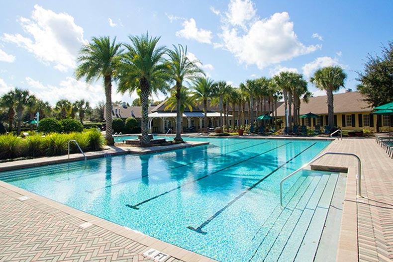Palm trees surrounding the outdoor pool at Cresswind at Victoria Gardens in DeLand, Florida.