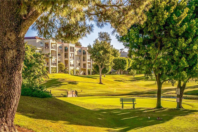 Trees dotting the golf course on the grounds of Laguna Woods Village in Laguna Woods, California.