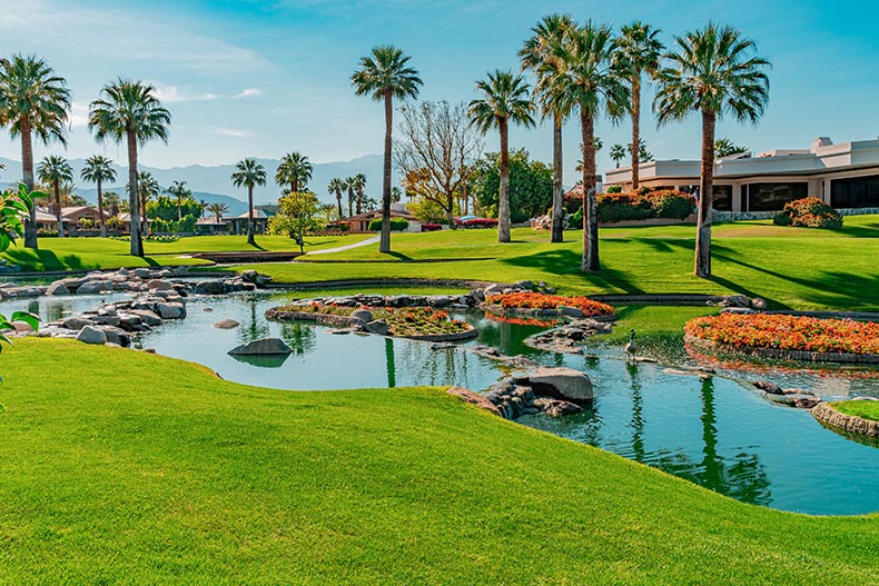 Palm trees and flowers surrounding ponds in Palm Springs, California.