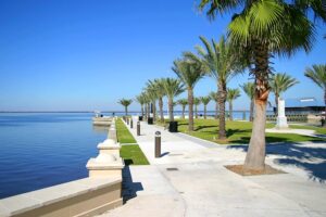 A walkway lined with palm trees beside the water in Sanford, Florida.