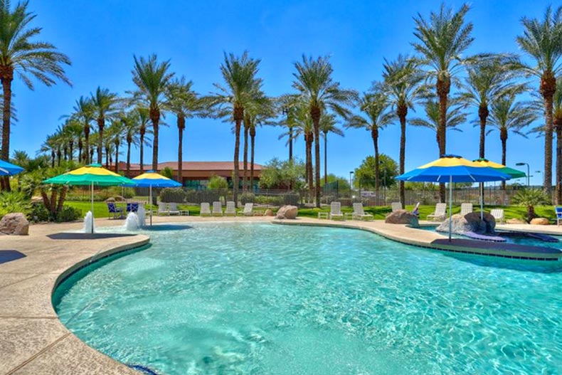 Palm trees surrounding the outdoor pool at Sun City Grand in Surprise, Arizona.