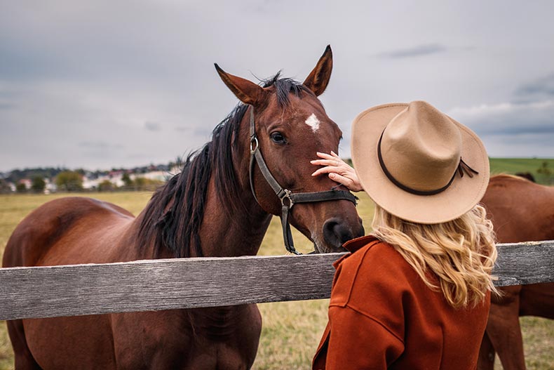 A 55+ woman reaching over a fence to pet a horse.