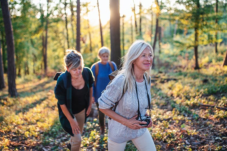 55+ female friends hiking in the forest on a sunny day.