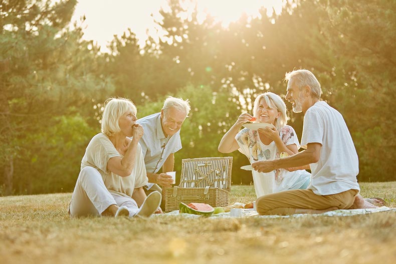 A group of seniors in the park having a picnic in the summer.