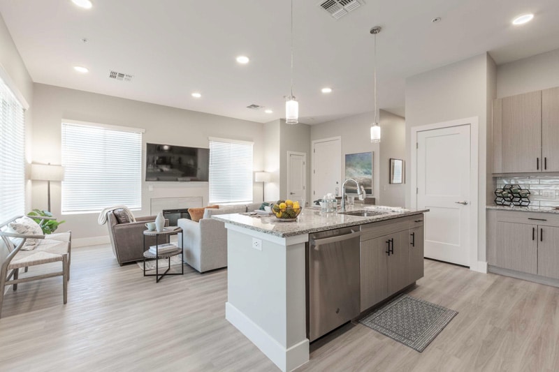 Model Kitchen and Living Room Area