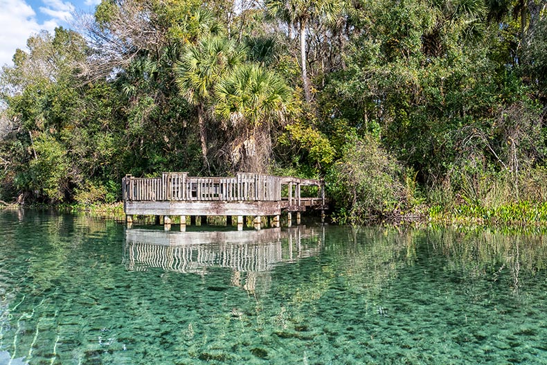 A wooden walkway over the water in Florida Natural Springs.