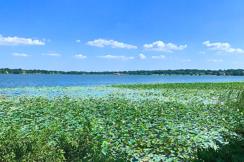 View of Lake Hollingsworth in Lakeland, Florida.