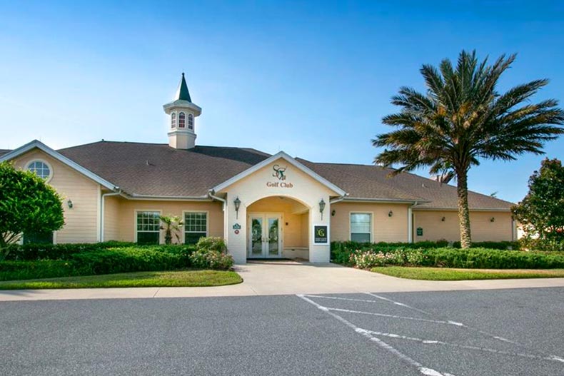 A palm tree beside the clubhouse at SummerGlen in Ocala, Florida.