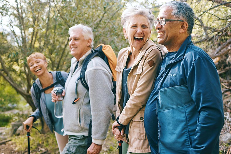 A group of 55+ hikers enjoying a walk in the woods.