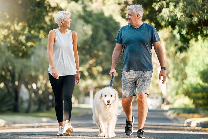 An active adult couple walking their dog in their 55+ community.