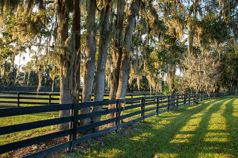 A corral with the shadows of the fence and trees on a sunny fall day in Ocala, Florida.