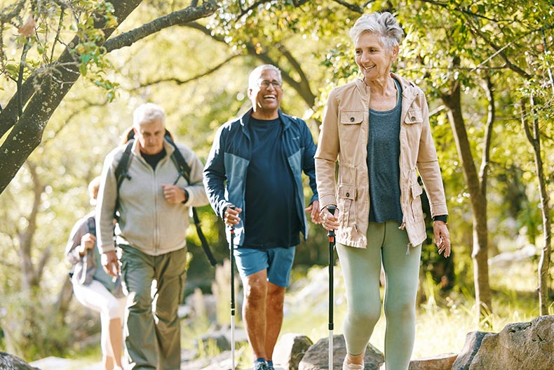 A 55+ hiking club following a trail in the woods on a sunny day.