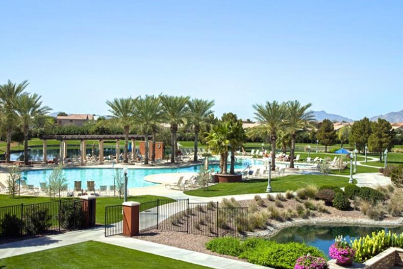 Palm trees surrounding the outdoor pool at Province in Maricopa, Arizona.