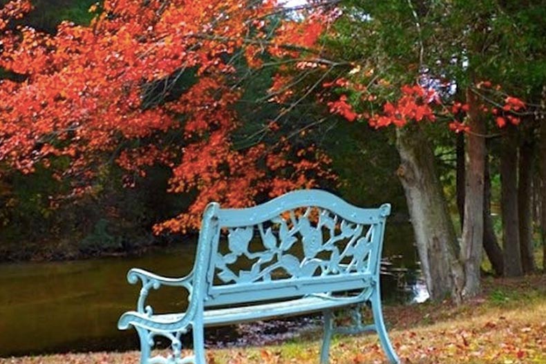 A bench on the grounds of Silver Ridge Park in Toms River, New Jersey.