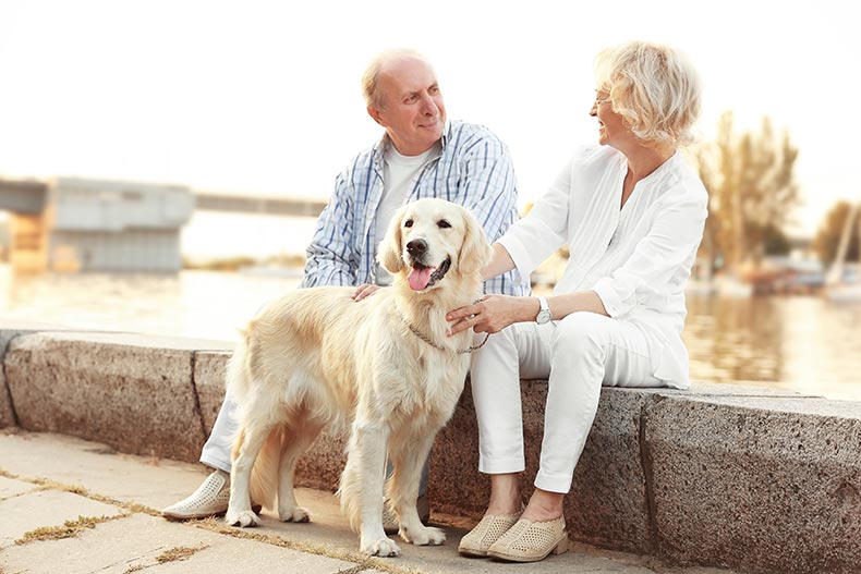 A retired couple walking their dog in their 55+ community.