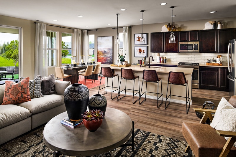 Kitchen and Living Room