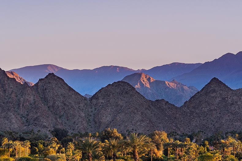 Palm trees and mountains in Coachella Valley.