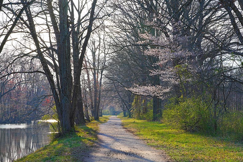 The towpath along the Delaware-Raritan canal in Princeton, New Jersey.