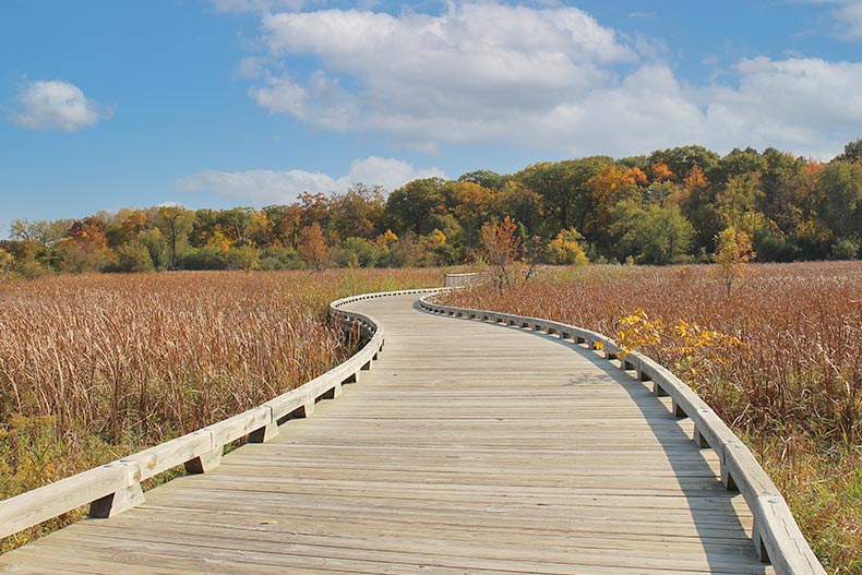 A wood, walking platform through a meadow filled with fall foliage in Hastings Lake Forest Preserve in Lake Villa, Illinois.