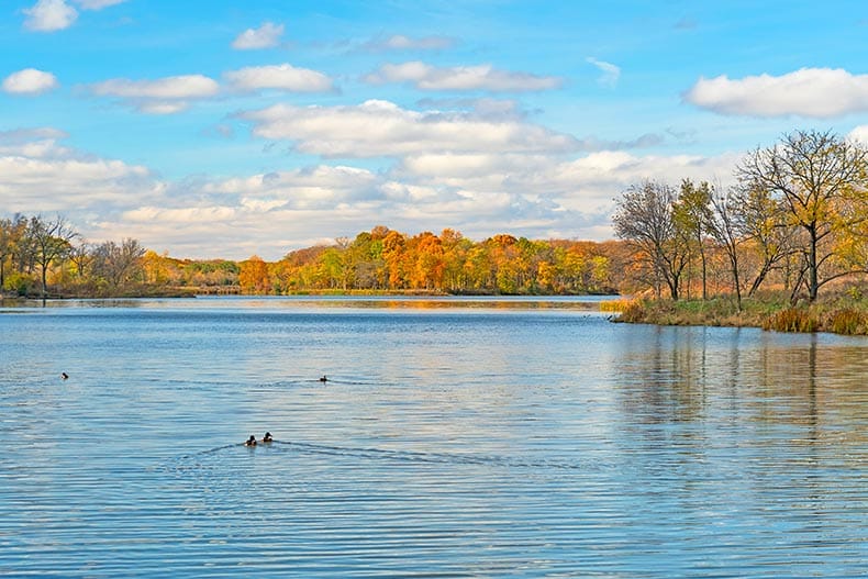 A serene lake in the autumn at Ned Brown Preserve in Illinois.