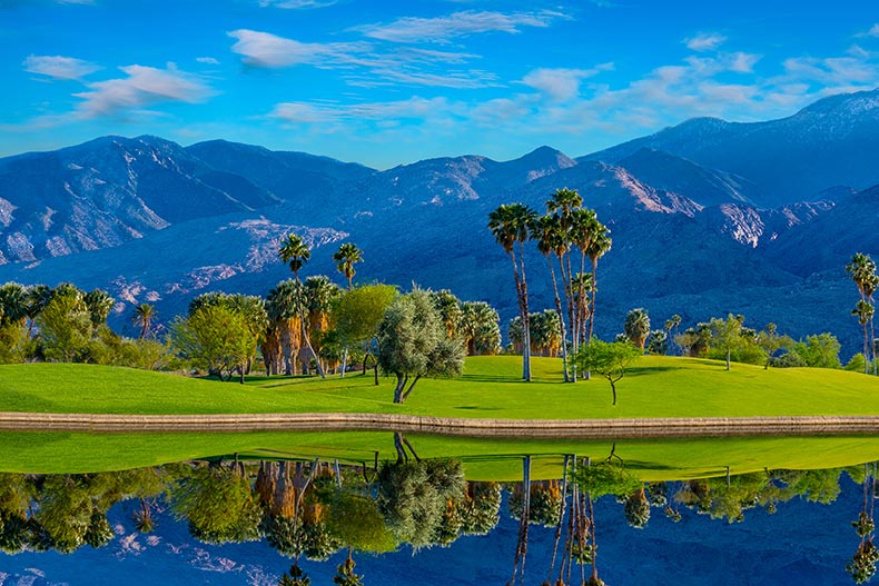 Palm trees and green belts in Palm Springs, California.