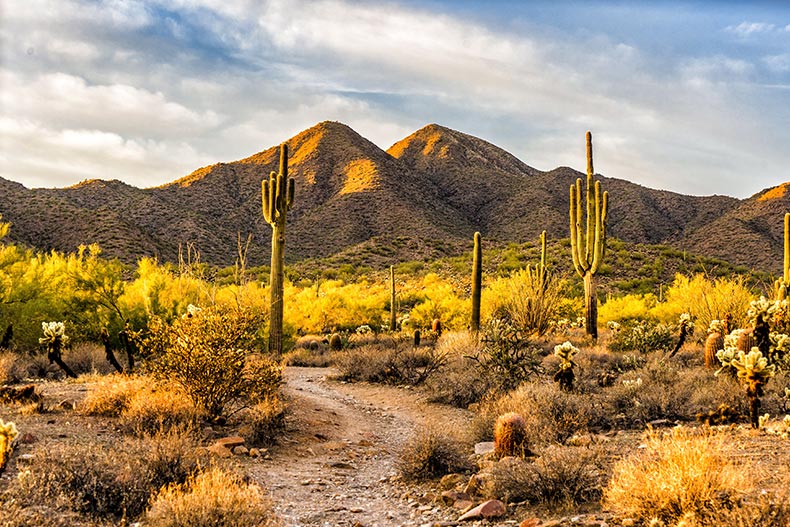 Sunrise over the Sonoran Desert near Scottsdale, Arizona, one of many desert retirement locations.