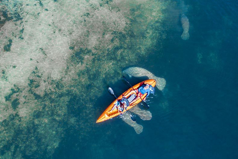 Active adults kayaking with manatees, one of many things to do on Florida's Treasure Coast.