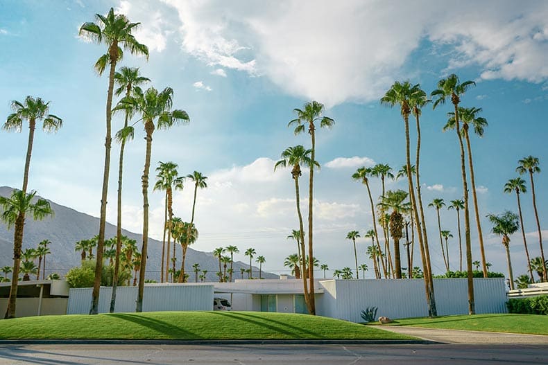 Palm Springs highway road with palms trees on both sides.