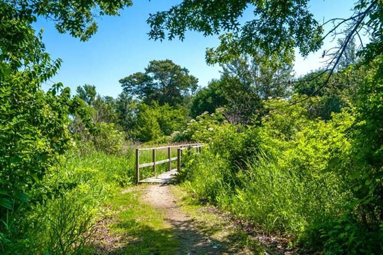 A nature trail at Saddlebrook Farms in Grayslake, Illinois.