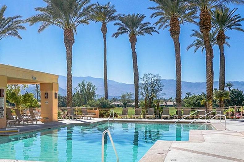 Palm trees surrounding the outdoor pool at Sun City Palm Desert in Palm Desert, California.