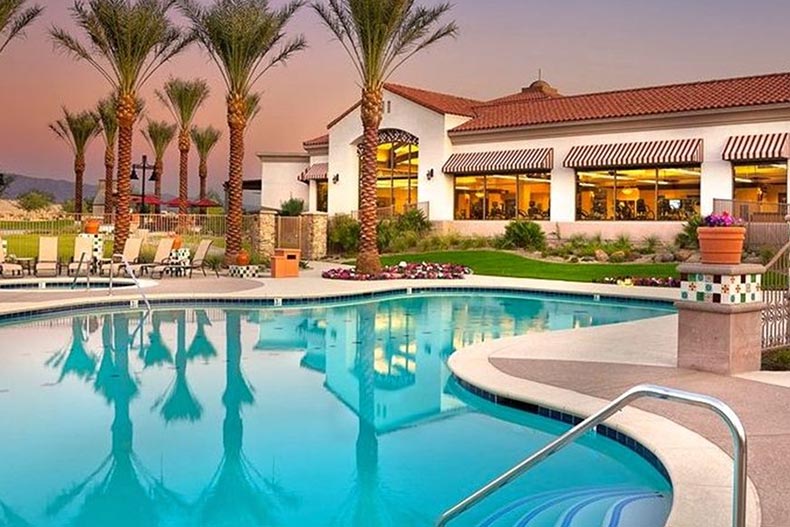 Palm trees surrounding the outdoor pool at Sun City Shadow Hills in Indio, California.