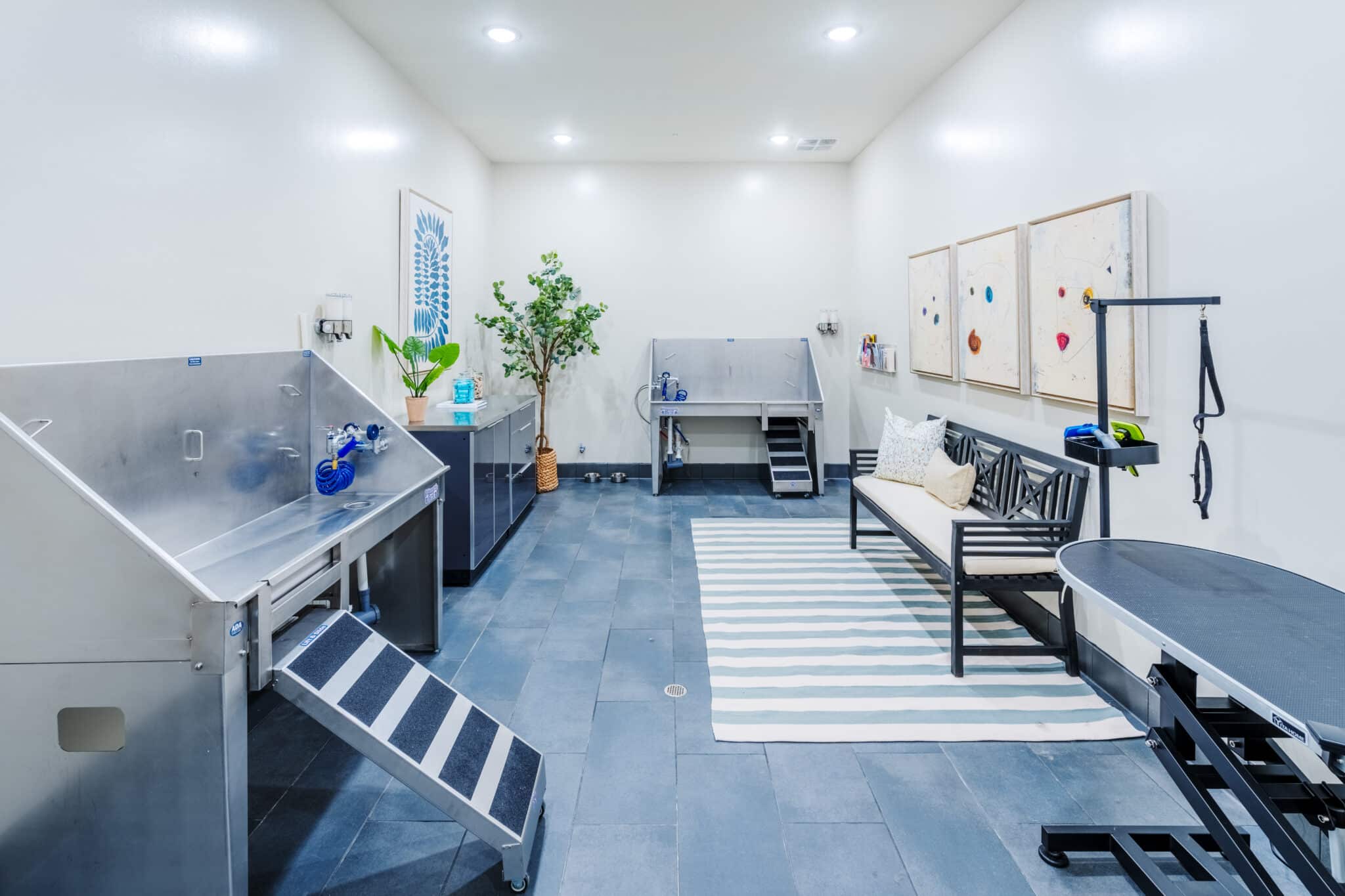 Pet Grooming Station