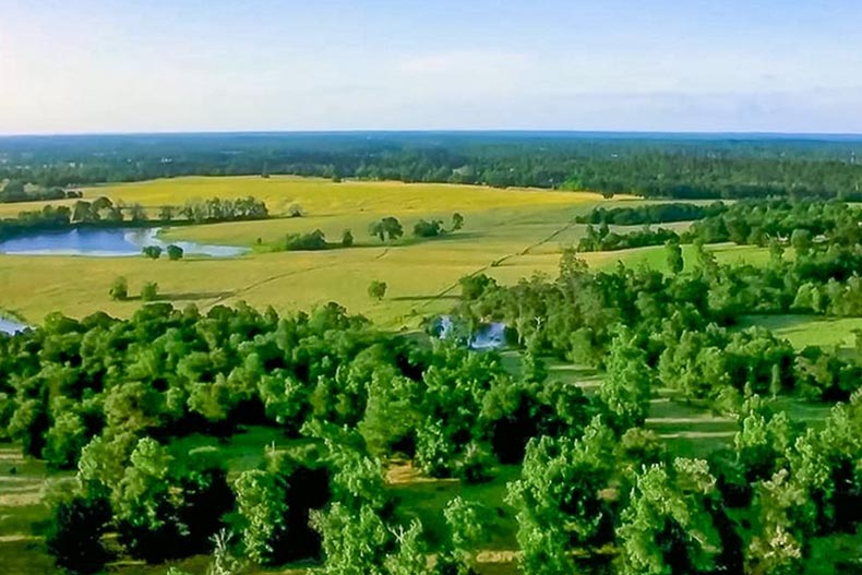 The landscape surrounding Chambers Creek in Willis, Texas.