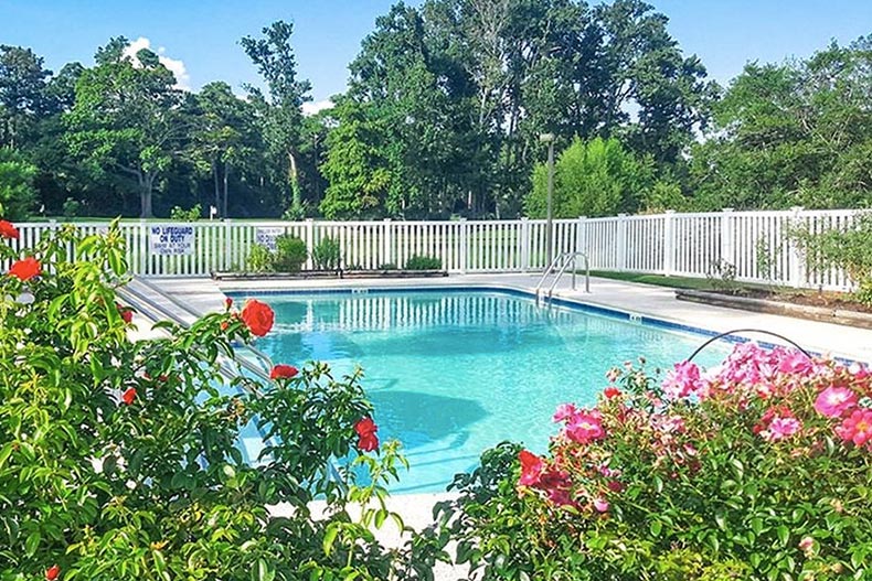 Flowers surrounding the outdoor pool at Covenant Towers in Myrtle Beach, South Carolina.