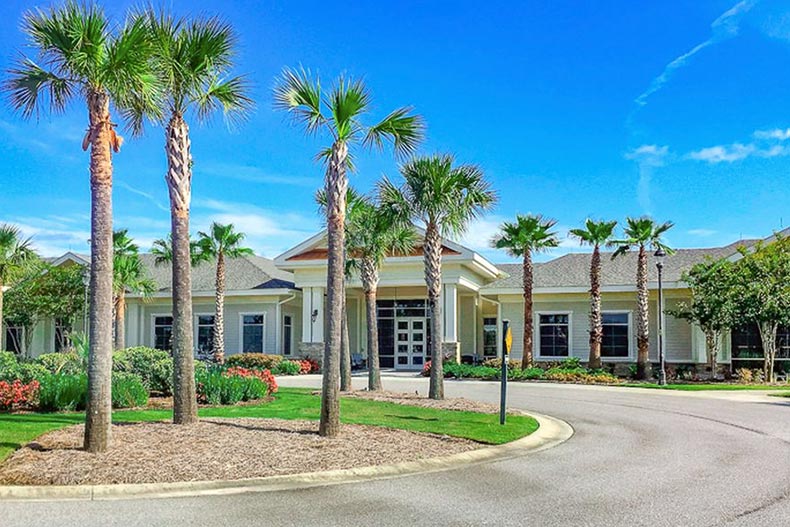 Palm trees at the entrance to Sun City Hilton Head in Bluffton, one of many 55+ communities in Hilton Head.