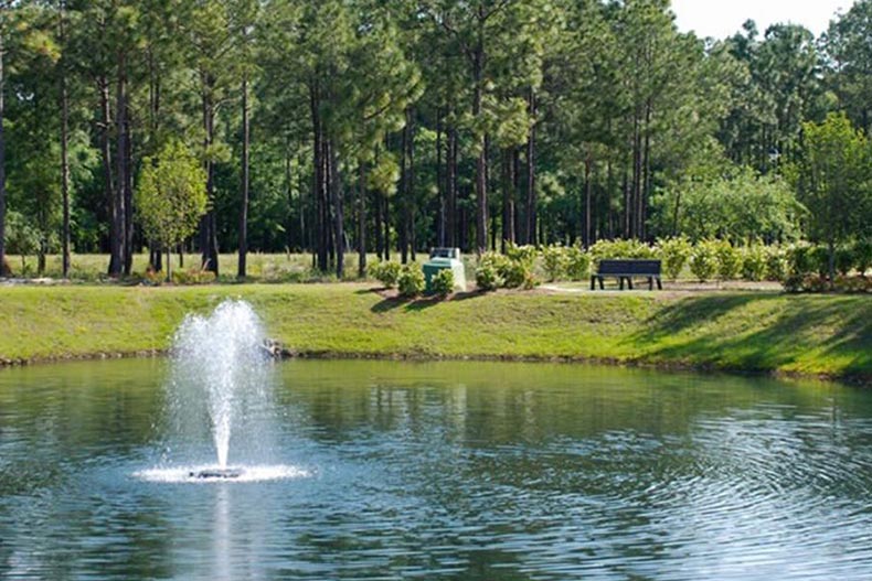 Picturesque paths for dog walking on the grounds of The Village at Motts Landing in Wilmington, North Carolina.