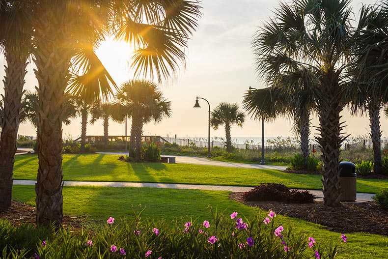 A park with palm trees and green grass in Myrtle Beach, South Carolina.